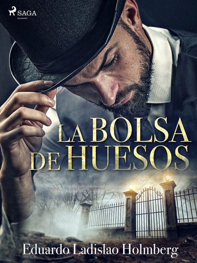 Book cover for La bolsa de huesos