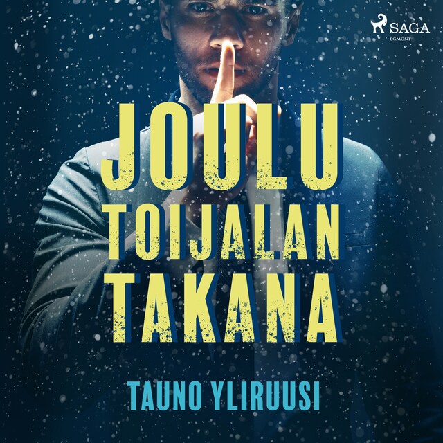 Buchcover für Joulu Toijalan takana