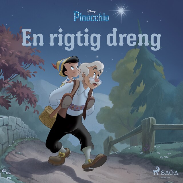 Bogomslag for Pinocchio - En rigtig dreng