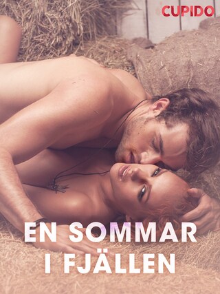 En sommar i fjällen - erotiska noveller bookCoverFor