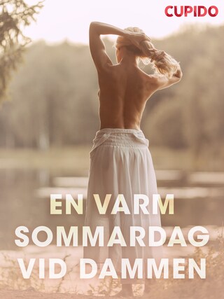 En varm sommardag ved dammen - erotiska noveller bookCoverFor
