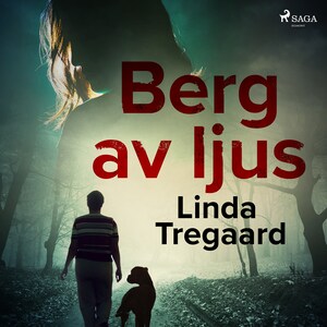 Berg av ljus bookCoverFor