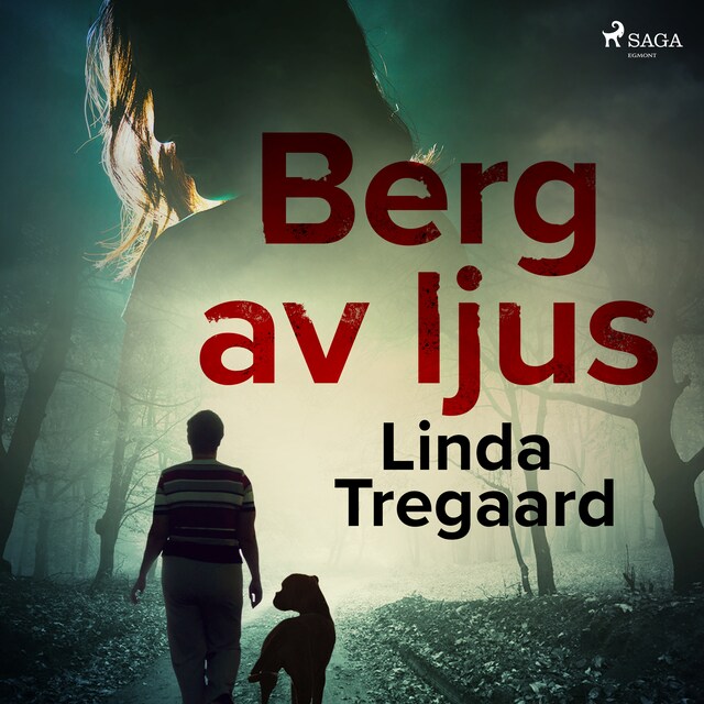 Book cover for Berg av ljus