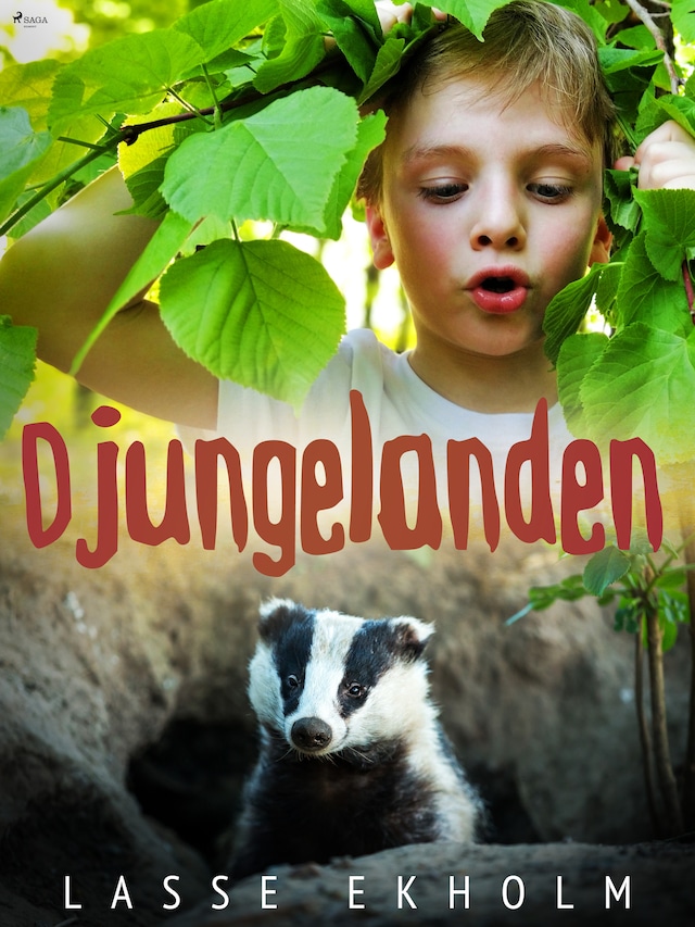 Book cover for Djungelanden