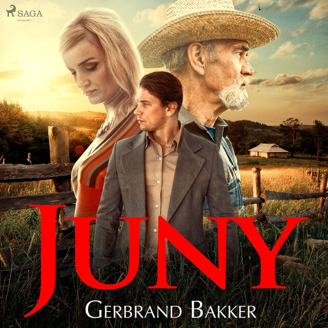 Couverture de livre pour Juny