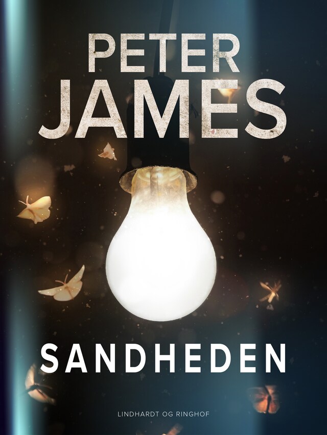 Book cover for Sandheden
