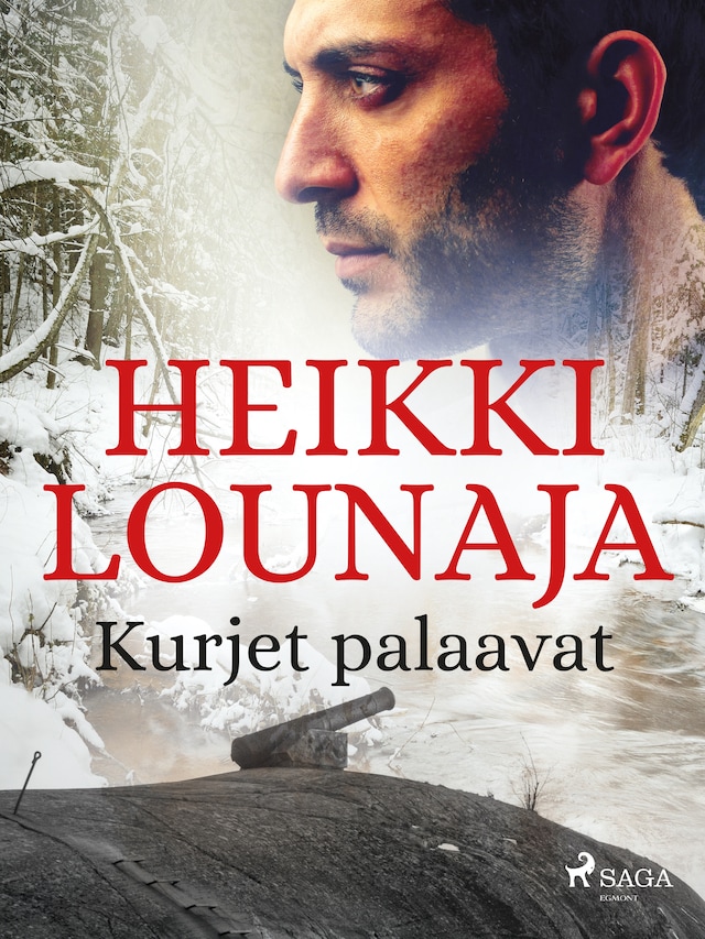 Book cover for Kurjet palaavat