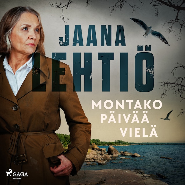 Book cover for Montako päivää vielä