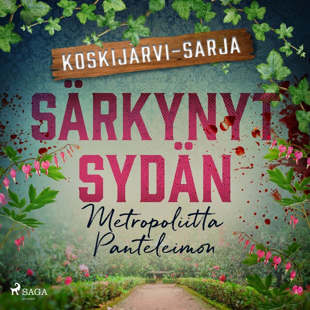 Book cover for Särkynyt sydän
