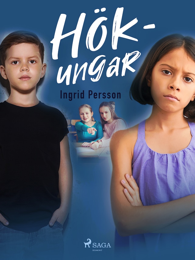 Book cover for Hökungar