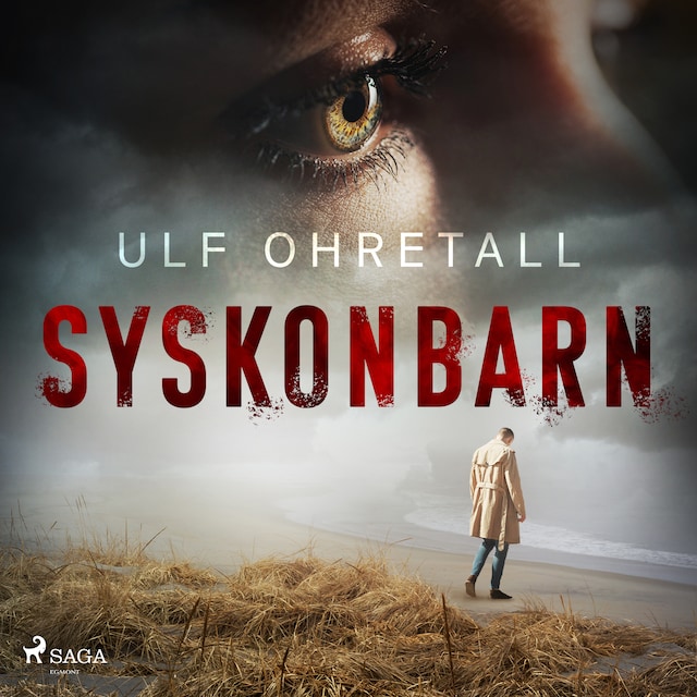 Book cover for Syskonbarn
