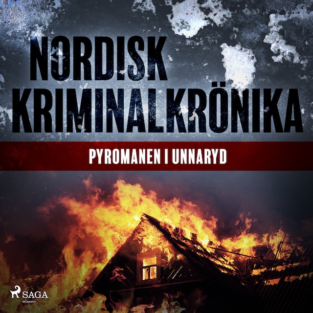 Buchcover für Pyromanen i Unnaryd