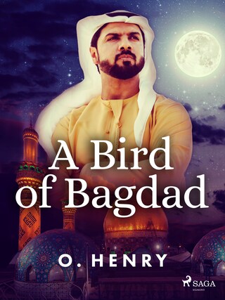 A Bird of Bagdad bookCoverFor