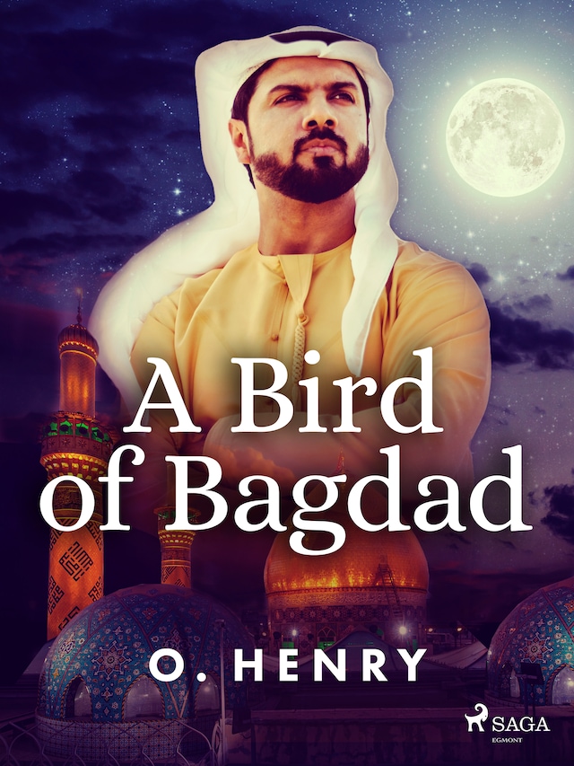 Book cover for A Bird of Bagdad