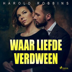 Waar liefde verdween - luisterboek