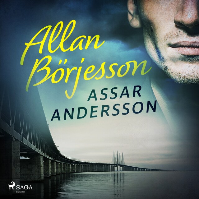 Book cover for Allan Börjesson