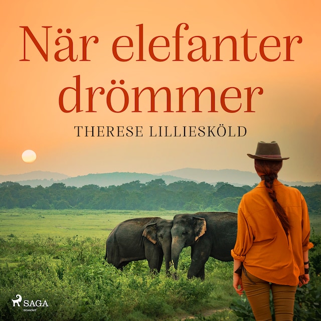 Book cover for När elefanter drömmer
