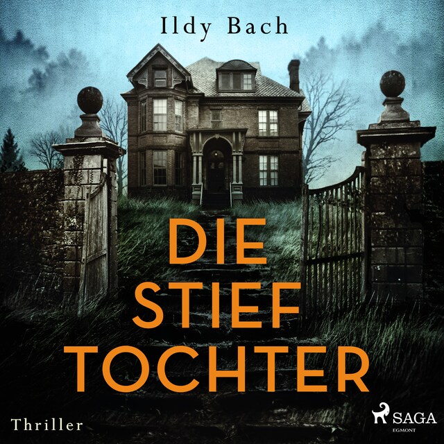 Book cover for Die Stieftochter