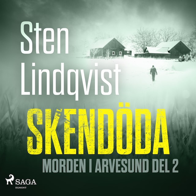 Book cover for Skendöda
