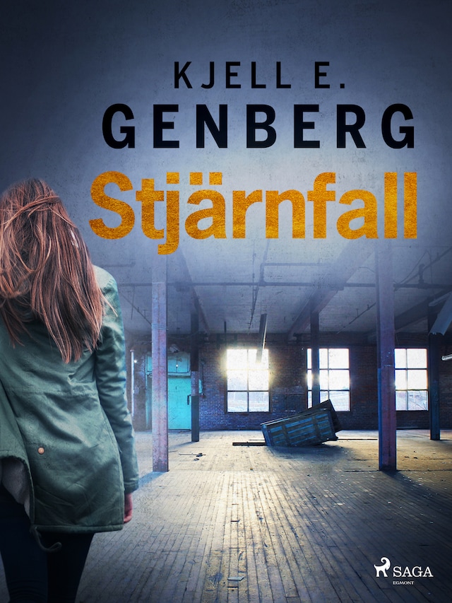 Book cover for Stjärnfall