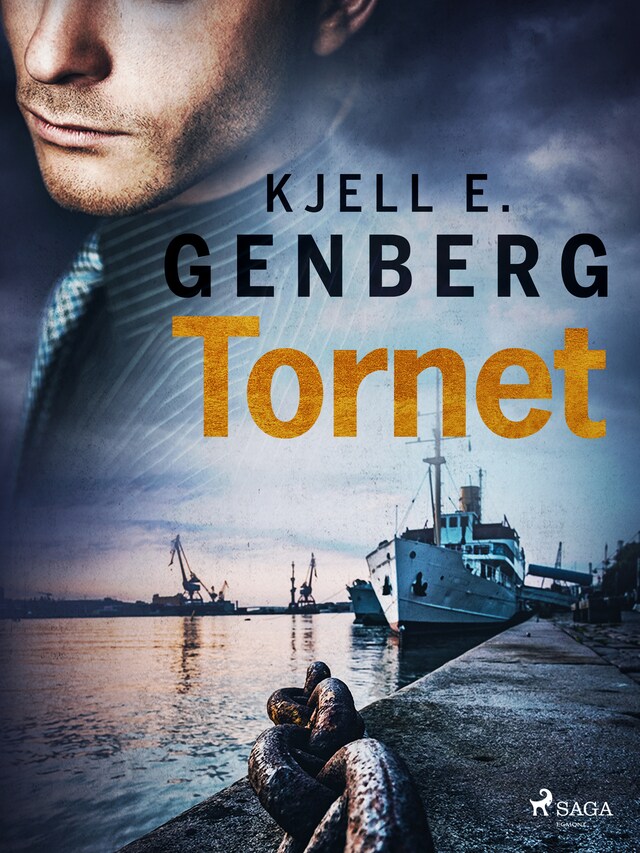 Book cover for Tornet