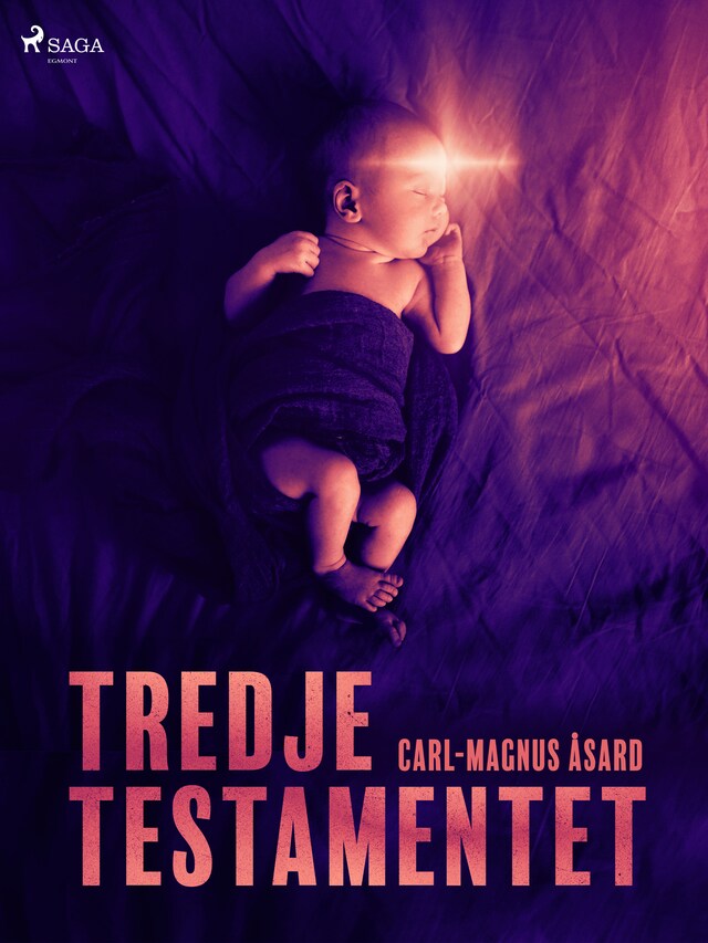 Book cover for Tredje Testamentet