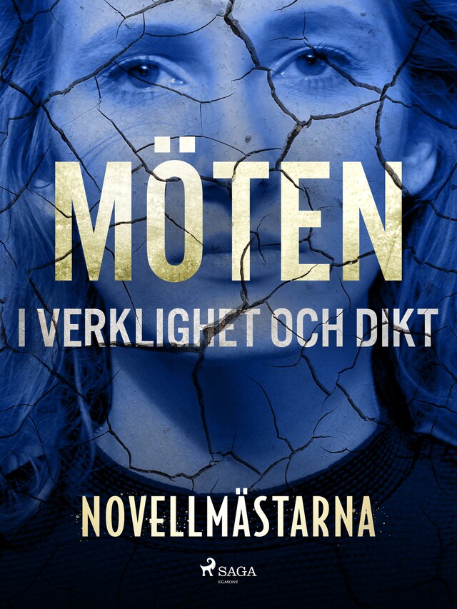 Book cover for Möten i verklighet och dikt