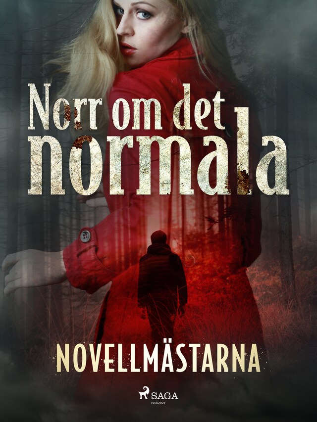 Book cover for Norr om det normala