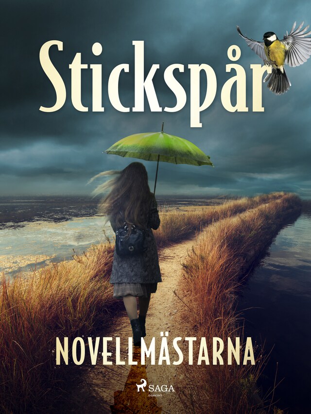 Book cover for Stickspår