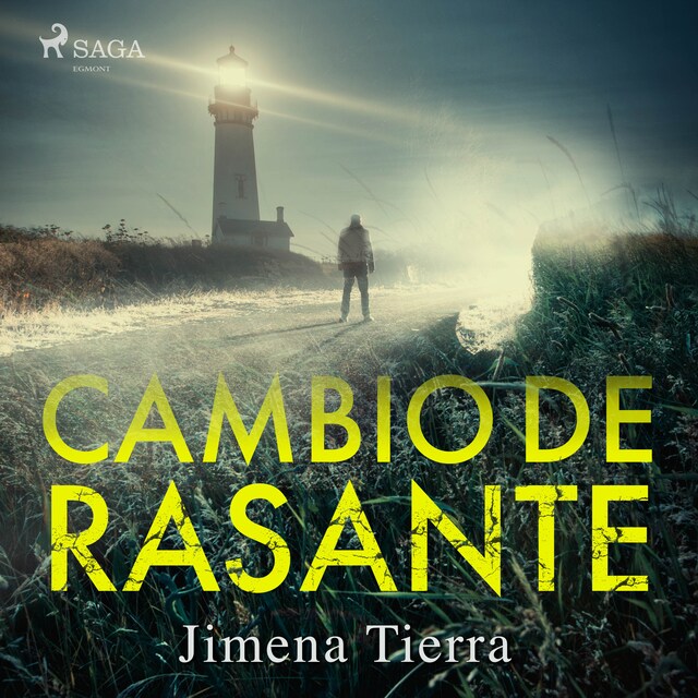 Book cover for Cambio de rasante