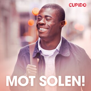 Mot solen! - erotiska noveller bookCoverFor