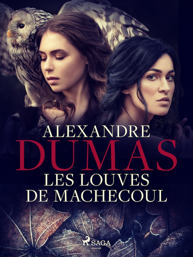 Book cover for Les Louves de Machecoul