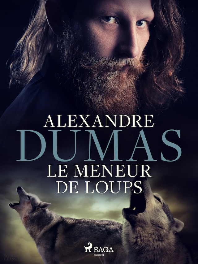 Book cover for Le Meneur de loups