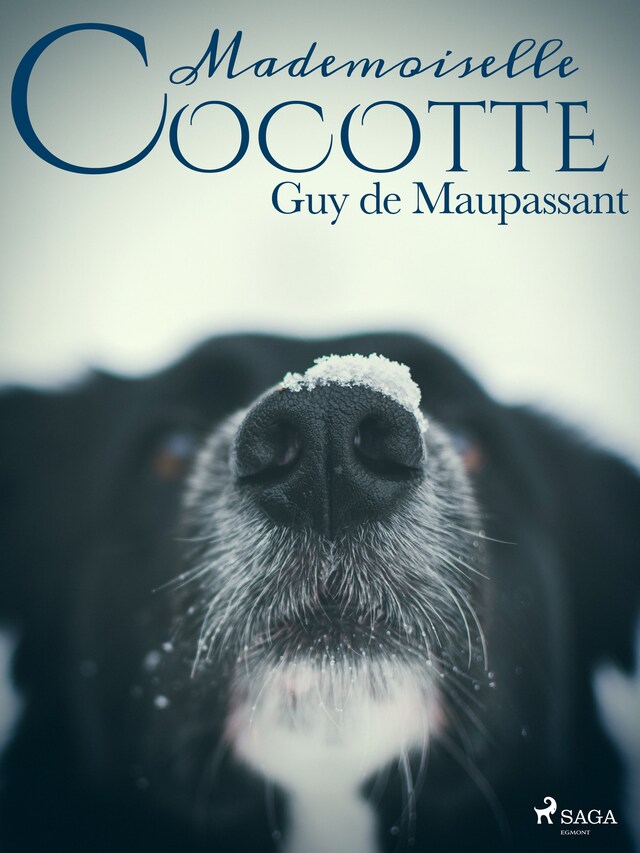 Couverture de livre pour Mademoiselle Cocotte