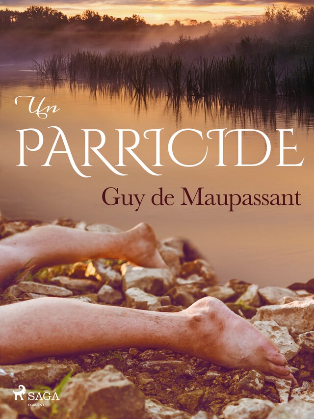 Book cover for Un Parricide