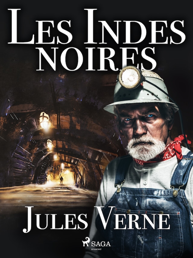 Book cover for Les Indes noires
