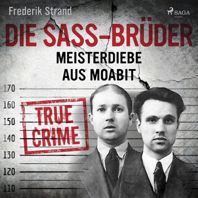 Buchcover für Die Sass-Brüder: Meisterdiebe aus Moabit