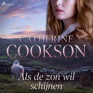 Als de zon wil schijnen - luisterboek
