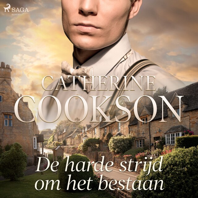 Book cover for De harde strijd om het bestaan