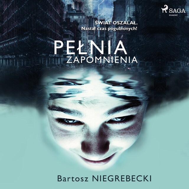 Book cover for Pełnia zapomnienia