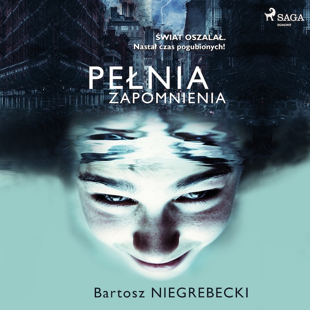 Book cover for Pełnia zapomnienia