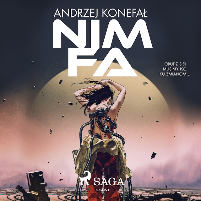 Book cover for Nimfa