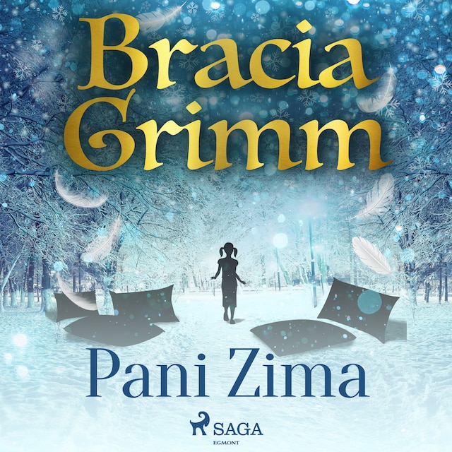 Book cover for Pani Zima
