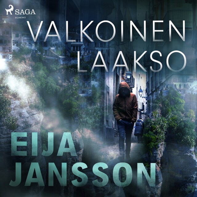 Book cover for Valkoinen laakso