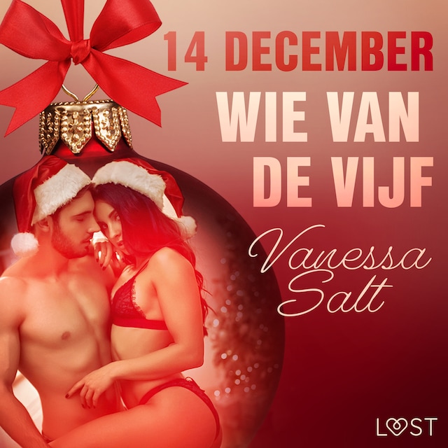 Okładka książki dla 14 december: Wie van de vijf – een erotische adventskalender