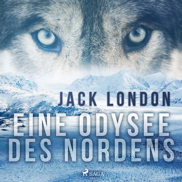 Book cover for Eine Odysee des Nordens
