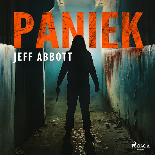 Book cover for Paniek