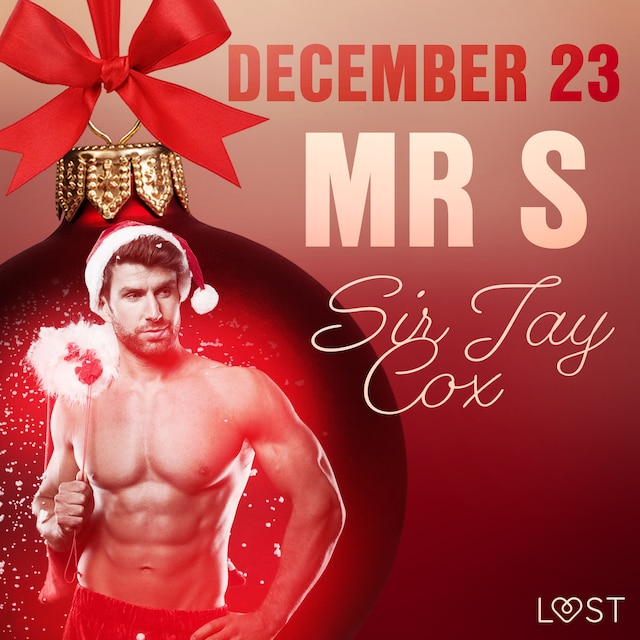 Book cover for December 23: Mr S – An Erotic Christmas Calendar