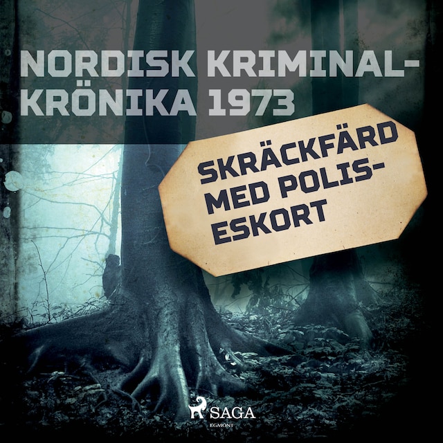 Book cover for Skräckfärd med poliseskort