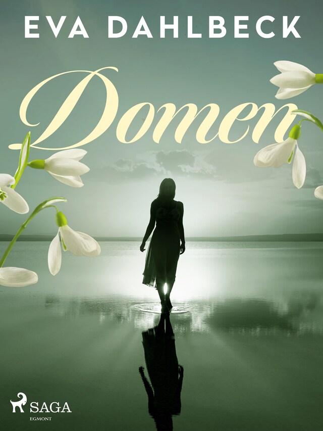 Copertina del libro per Domen